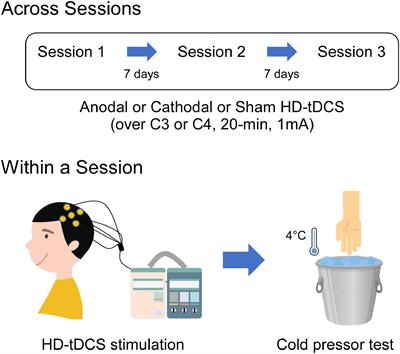 Effects of High-Definition Transcranial Direct Current Stimulation Over the Primary Motor Cortex on Cold Pain Sensitivity Among Healthy Adults